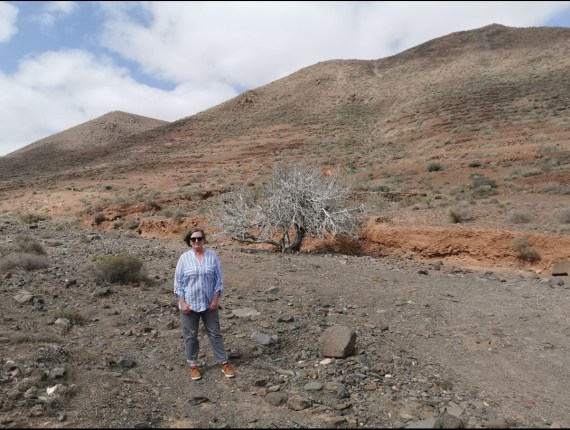 near Guisguey Fuerteventura